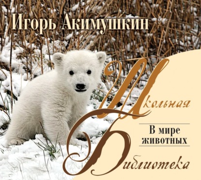 В мире животных — Игорь Акимушкин