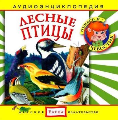Лесные птицы — Детское издательство Елена