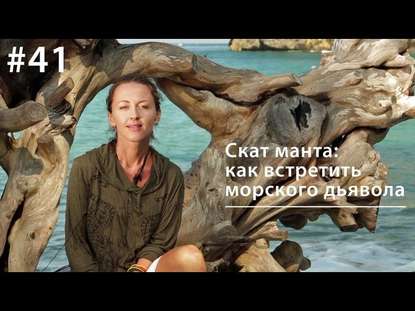 Манта: как встретить морского дьявола — Евгения Тимонова