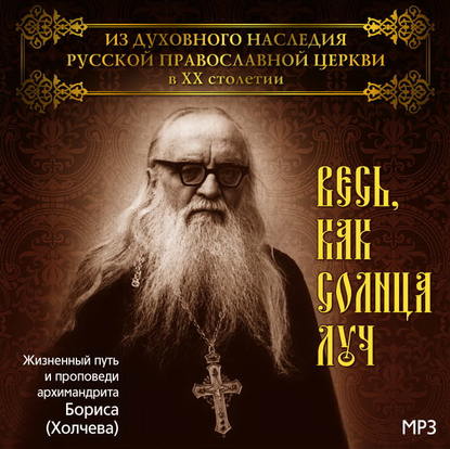 Весь, как солнца луч. Жизненный путь и проповеди архимандрита Бориса (Холчева) — Александр Куликов Протоиерей