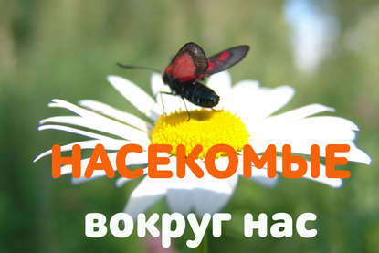 Зачем тебе жужжать, если ты не пчела? Европейская символика образа — Пономарева Валентина