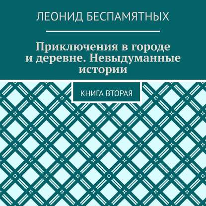 Приключения в городе и деревне. Невыдуманные истории. Книга вторая — Леонид Викторович Беспамятных