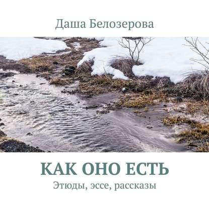 Как оно есть. Этюды, эссе, рассказы — Даша Белозерова