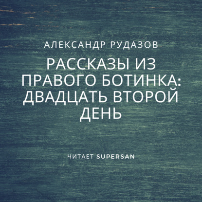 Двадцать второй день — Александр Рудазов