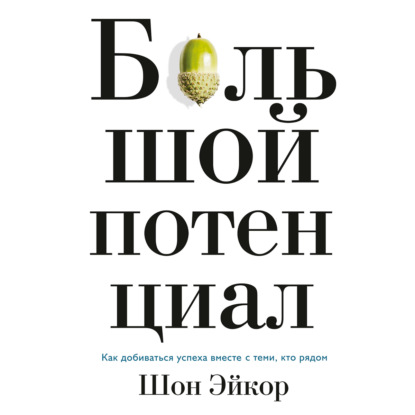 Большой потенциал. Как добиваться успеха вместе с теми, кто рядом — Шон Эйкор