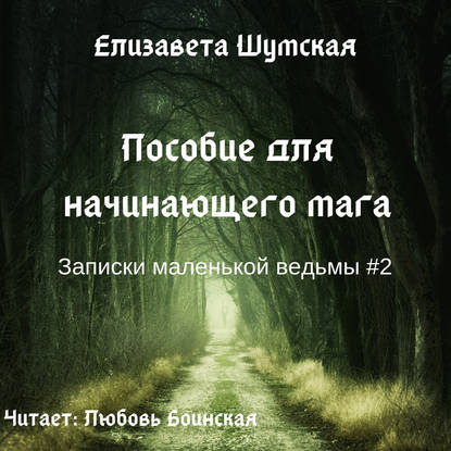 Пособие для начинающего мага — Елизавета Шумская