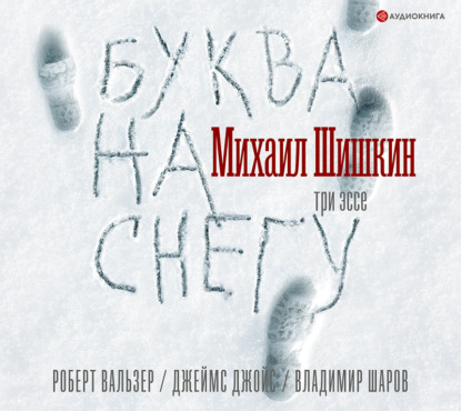 Буква на снегу — Михаил Шишкин