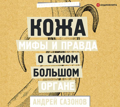 Кожа: мифы и правда о самом большом органе — Андрей Сазонов