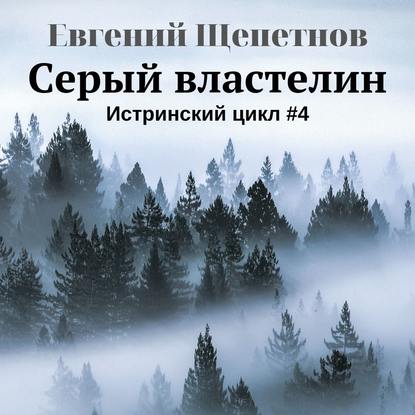Серый властелин — Евгений Щепетнов