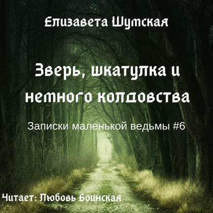 Зверь, шкатулка и немного колдовства — Елизавета Шумская