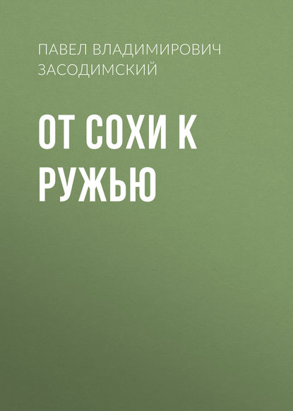 От сохи к ружью — Павел Владимирович Засодимский