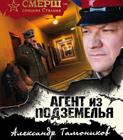 Агент из подземелья — Александр Тамоников