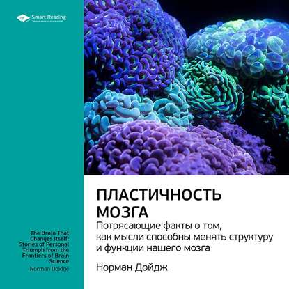 Ключевые идеи книги: Пластичность мозга. Потрясающие факты о том, как мысли способны менять структуру и функции нашего мозга. Норман Дойдж — Smart Reading