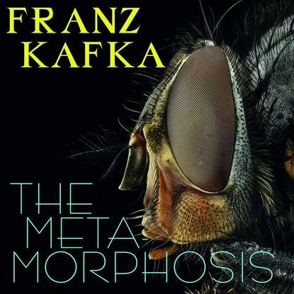 The Metamorphosis — Франц Кафка