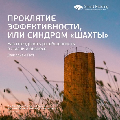 Ключевые идеи книги: Проклятие эффективности, или Синдром «шахты». Джиллиан Тетт — Smart Reading