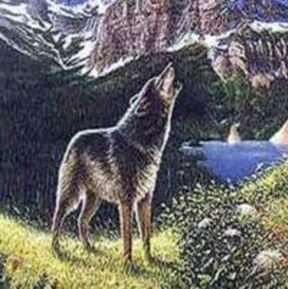 Волк — Лев Толстой