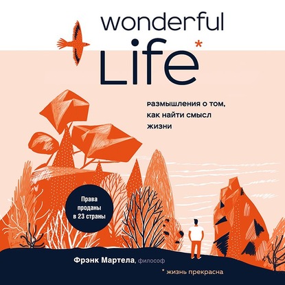 Wonderful Life. Размышления о том, как найти смысл жизни — Фрэнк Мартела