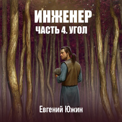 Инженер. Часть 4. Угол — Евгений Южин