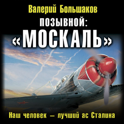 Позывной: «Москаль». Наш человек – лучший ас Сталина — Валерий Петрович Большаков