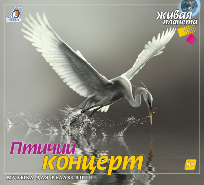 Птичий концерт — Александр Тихонов
