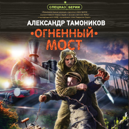 Огненный мост — Александр Тамоников