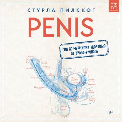 Penis. Гид по мужскому здоровью от врача-уролога — Стурла Пилског