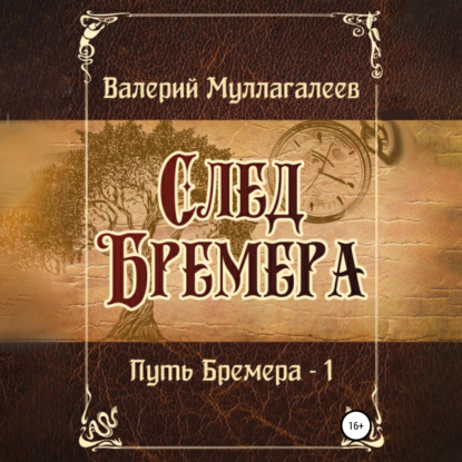 След Бремера — Валерий Владимирович Муллагалеев