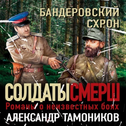 Бандеровский схрон — Александр Тамоников