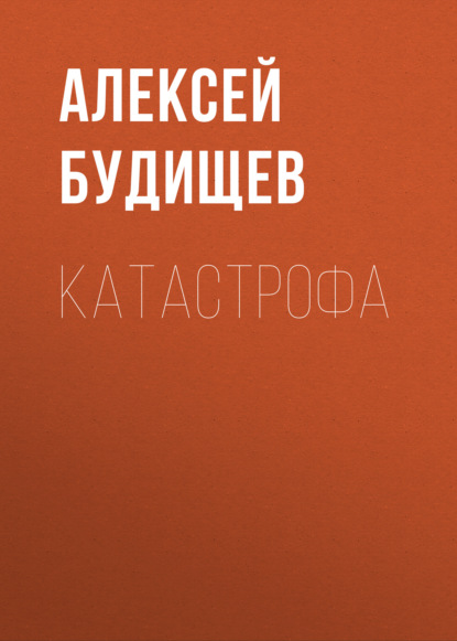 Катастрофа — Алексей Будищев