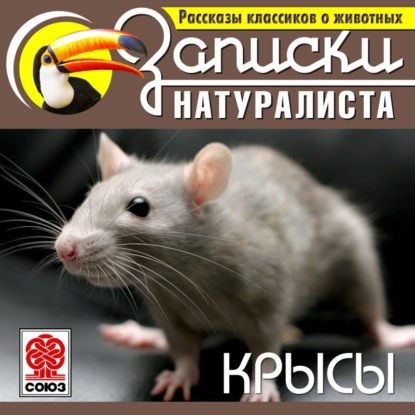 Рассказы классиков о животных. Крысы — Коллектив авторов