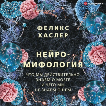 Нейромифология. Что мы действительно знаем о мозге и чего мы не знаем о нем — Феликс Хаслер