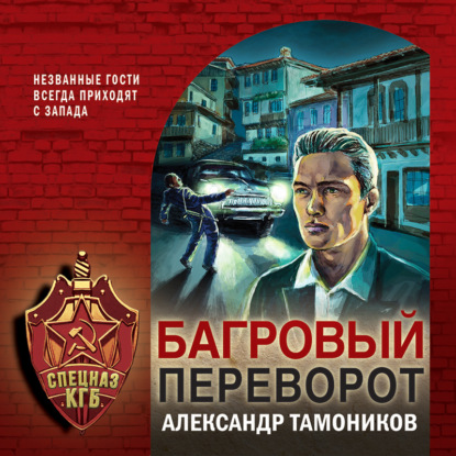 Багровый переворот — Александр Тамоников