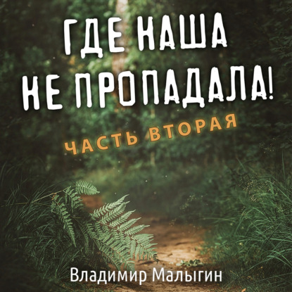 Где наша не пропадала. Часть вторая — Владимир Малыгин