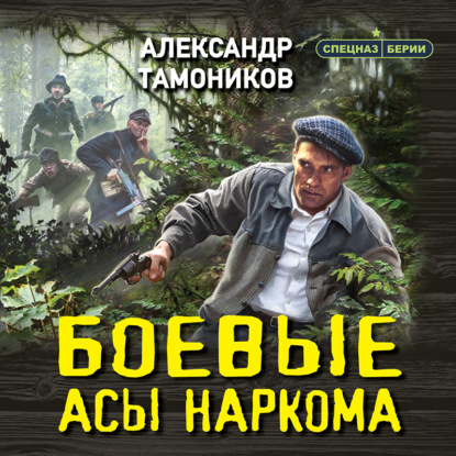 Боевые асы наркома — Александр Тамоников