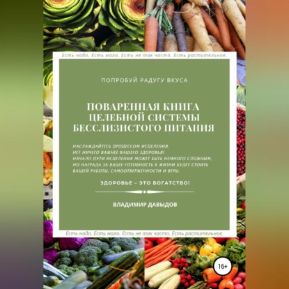 Поваренная книга целебной системы бесслизистого питания — Владимир Давыдов