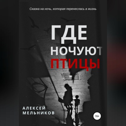 Где ночуют птицы — Алексей Романович Мельников