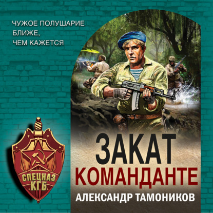 Закат команданте — Александр Тамоников