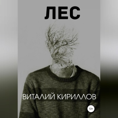 Лес — Виталий Александрович Кириллов