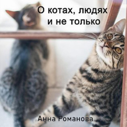 О котах, людях и не только — Анна Романова