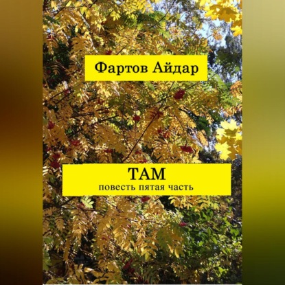 Там. Часть V. Заключительная — Айдар Табрисович Фартов