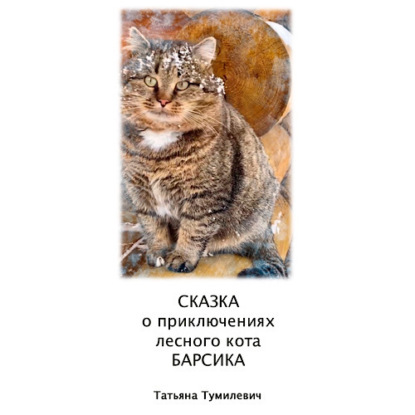 Сказка о приключениях лесного кота Барсика — Татьяна Анатольевна Тумилевич