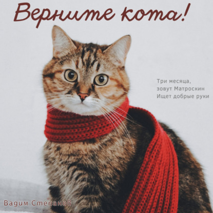 Верните кота — Вадим Степанов