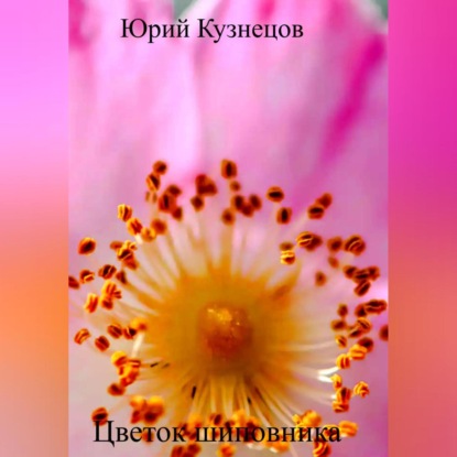Цветок шиповника — Юрий Юрьевич Кузнецов