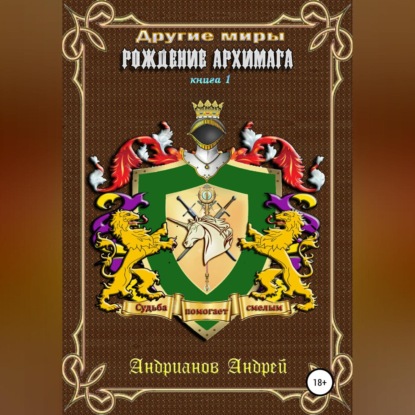Другие Миры. Книга 1. Рождение Архимага — Андрей Петрович Андрианов