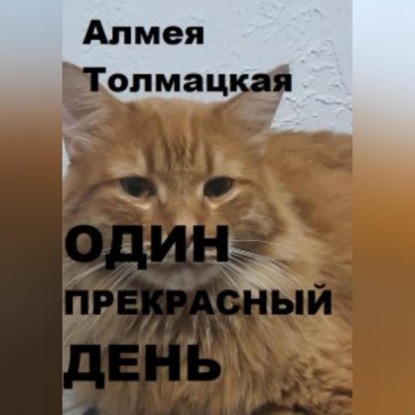 Один прекрасный день — Алмея Толмацкая