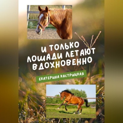 И только лошади летают вдохновенно — Екатерина Кастрицкая