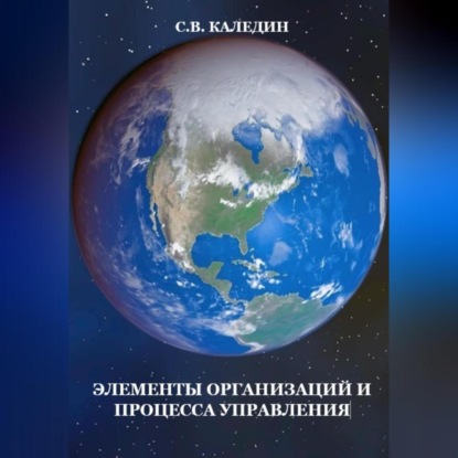 Элементы организаций и процесса управления — Сергей Каледин
