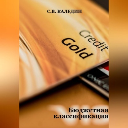 Бюджетная классификация — Сергей Каледин