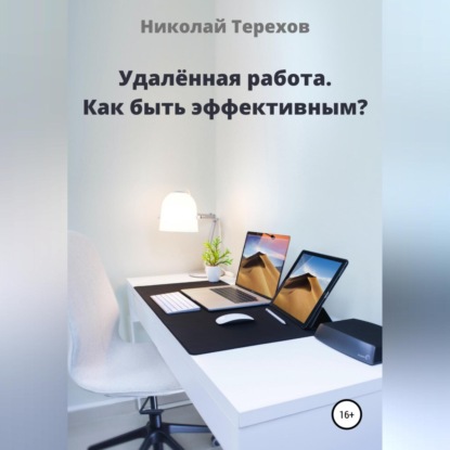 Удалённая работа. Как быть эффективным? — Николай Николаевич Терехов