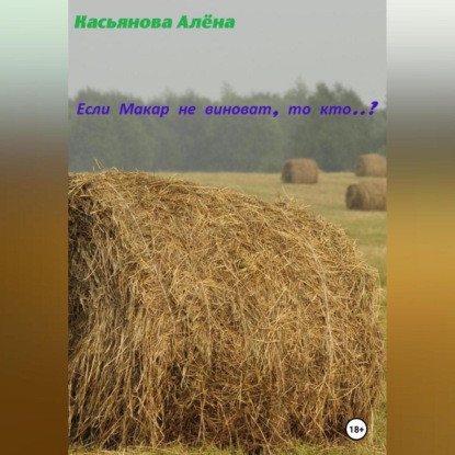 Если Макар не виноват, то кто..? — Алёна Фёдоровна Касьянова